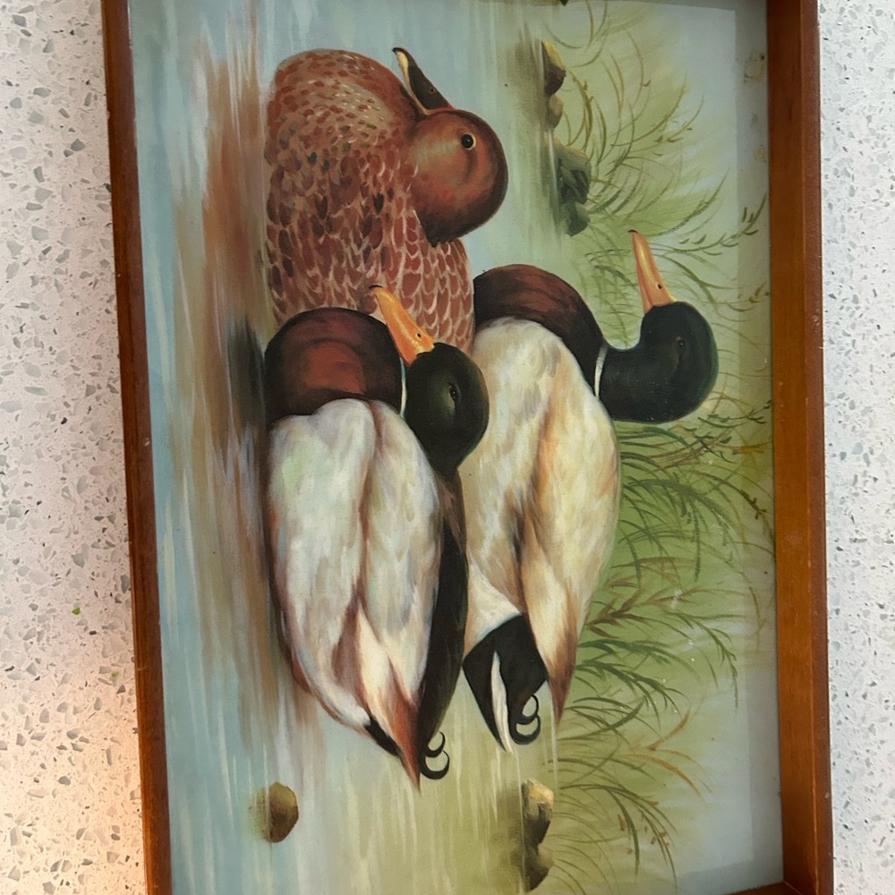 Duck Wall Art with Wooden Frame